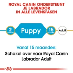Royal Canin Labrador Retriever Puppy - Hondenvoer - 12kg 9 Royal Canin Labrador Retriever Puppy - Hondenvoer - 12kg -Blaf Miauw Verkoopwinkel Royal Canin Labrador Retriever Puppy NL 3
