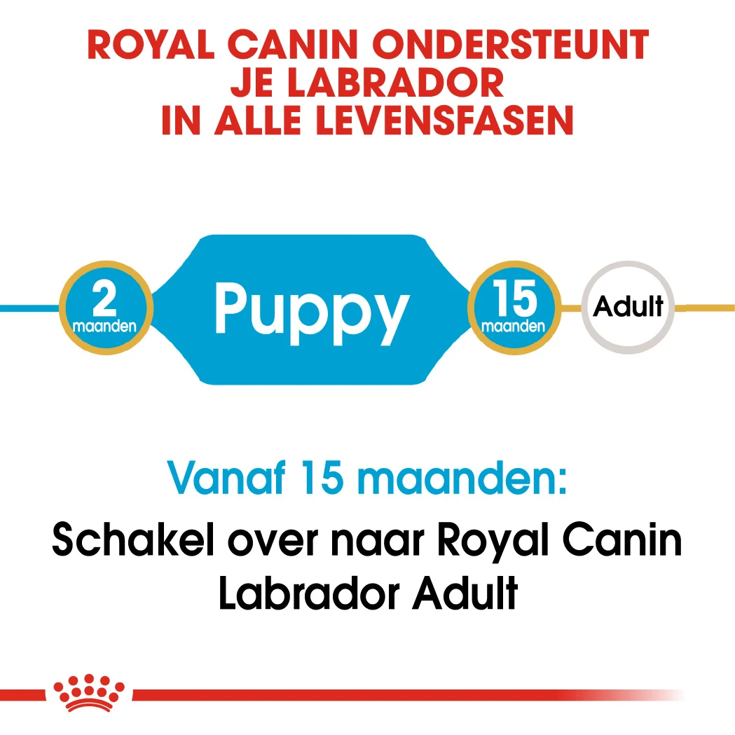 Royal Canin Labrador Retriever Puppy - Hondenvoer - 12kg 3 Royal Canin Labrador Retriever Puppy - Hondenvoer - 12kg - Afbeelding 3