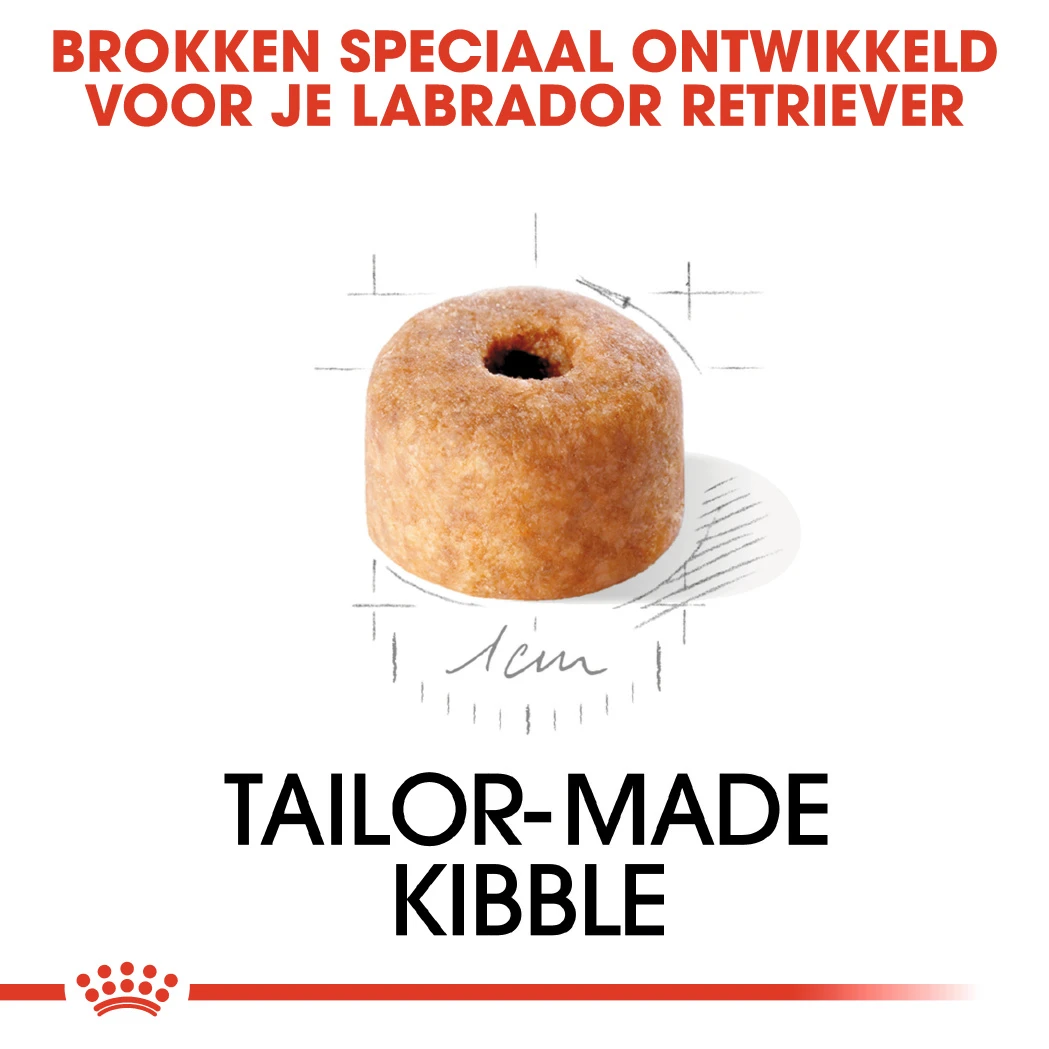 Royal Canin Labrador Retriever Puppy - Hondenvoer - 3kg 4 Royal Canin Labrador Retriever Puppy - Hondenvoer - 3kg - Afbeelding 4