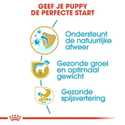 Royal Canin Labrador Retriever Puppy - Hondenvoer - 3kg 11 Royal Canin Labrador Retriever Puppy - Hondenvoer - 3kg -Blaf Miauw Verkoopwinkel Royal Canin Labrador Retriever Puppy NL 5 1