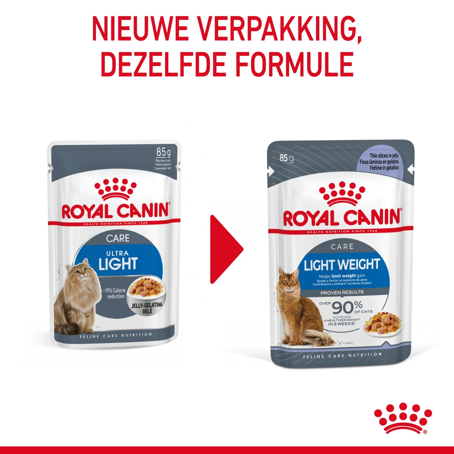 Royal Canin Light Weight Care Natvoer In Jelly Kattenvoer 12x85g 4 Royal Canin Light Weight Care Natvoer In Jelly Kattenvoer 12x85g - Afbeelding 4
