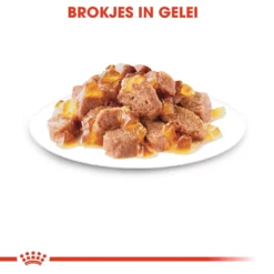 Royal Canin Sterilised In Jelly Kattenvoer 12x85g 9 Royal Canin Sterilised In Jelly Kattenvoer 12x85g -Blaf Miauw Verkoopwinkel Royal Canin Sterilised Jelly Kat NL 4