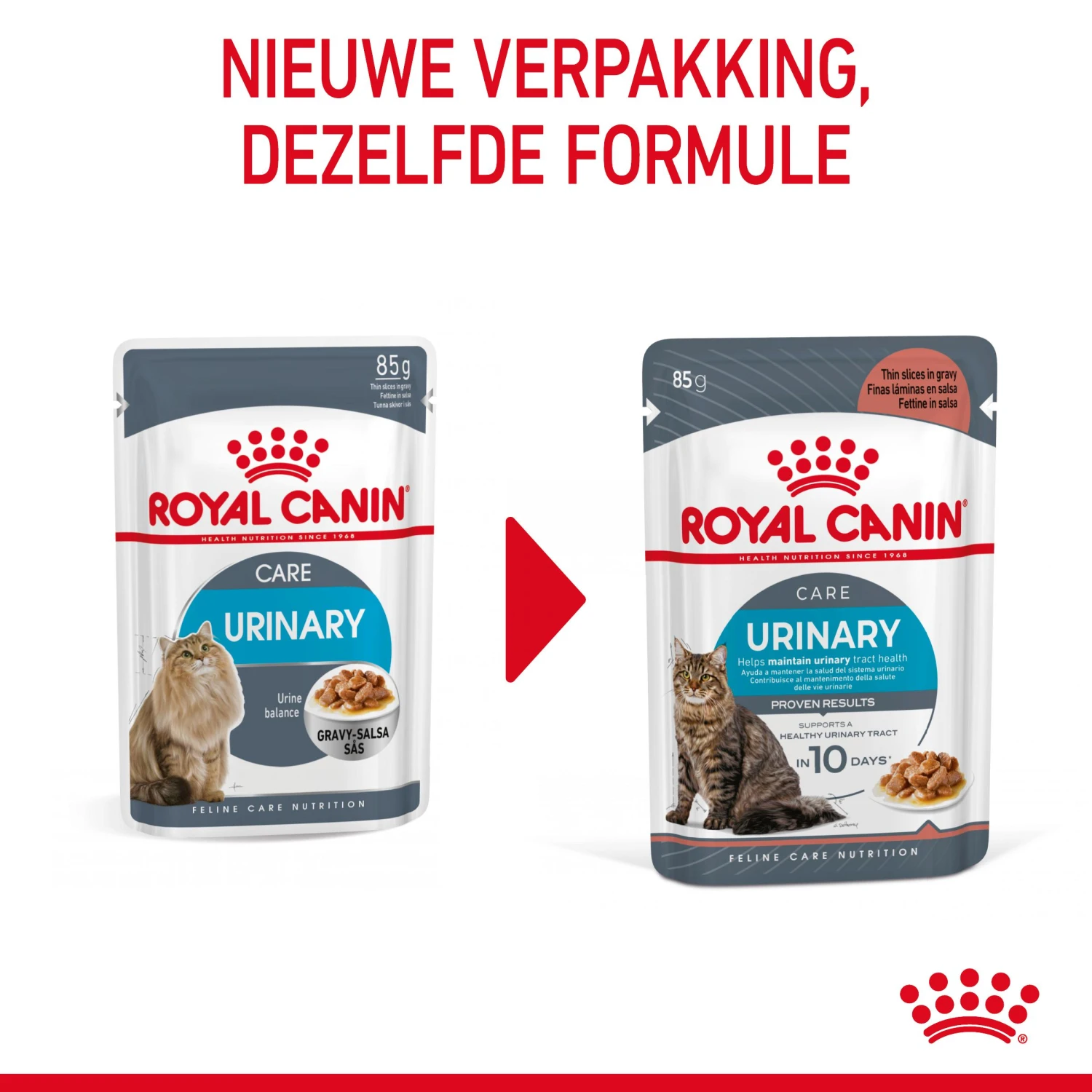 Royal Canin Urinary Care Natvoer In Gravy Kattenvoer 48x85g 4 Royal Canin Urinary Care Natvoer In Gravy Kattenvoer 48x85g - Afbeelding 4