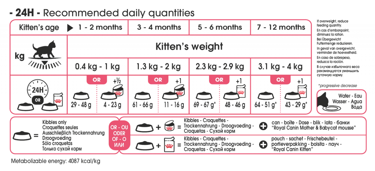 Royal Canin Kitten 2kg 3 Royal Canin Kitten 2kg - Afbeelding 3