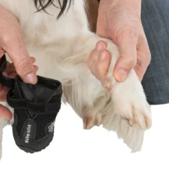 Trixie Pootbescherming Walker Active M 2st. 16 Trixie Pootbescherming Walker Active M 2st. -Blaf Miauw Verkoopwinkel a9ed7403e7270fba9cbe0c569267f57bb704d33b769ec1a5458f95b1bf0c54e0