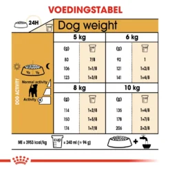 Royal Canin Jack Russell Adult - Hondenvoer - 1,5kg 4 Royal Canin Jack Russell Adult - Hondenvoer - 1,5kg -Blaf Miauw Verkoopwinkel ad90d20e8be659a05b8d6ea3d9c84a4959dbd6443649feb4970eb79fc6868336