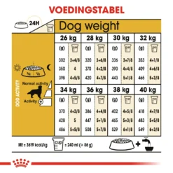 Royal Canin Golden Retriever Adult - Hondenvoer - 3kg 5 Royal Canin Golden Retriever Adult - Hondenvoer - 3kg -Blaf Miauw Verkoopwinkel ade9580a6182ebb29c064b86857b0638f867b60225fe5c47e826e87a3cada5f3 1