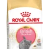 Royal Canin British Shorthair Kitten Kat 10kg