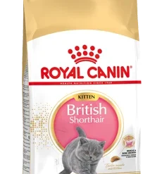 Royal Canin British Shorthair Kitten Kat 10kg