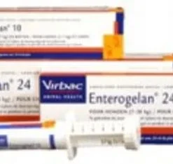 Virbac Enterogelan 24 Pasta Doseerspuit Hond 24ml