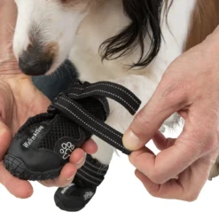 Trixie Pootbescherming Walker Active M 2st. 14 Trixie Pootbescherming Walker Active M 2st. -Blaf Miauw Verkoopwinkel e08062450bd8a32b408258fb4c31ff7f7447657b0f4f3fa1ecca0f8550d45313