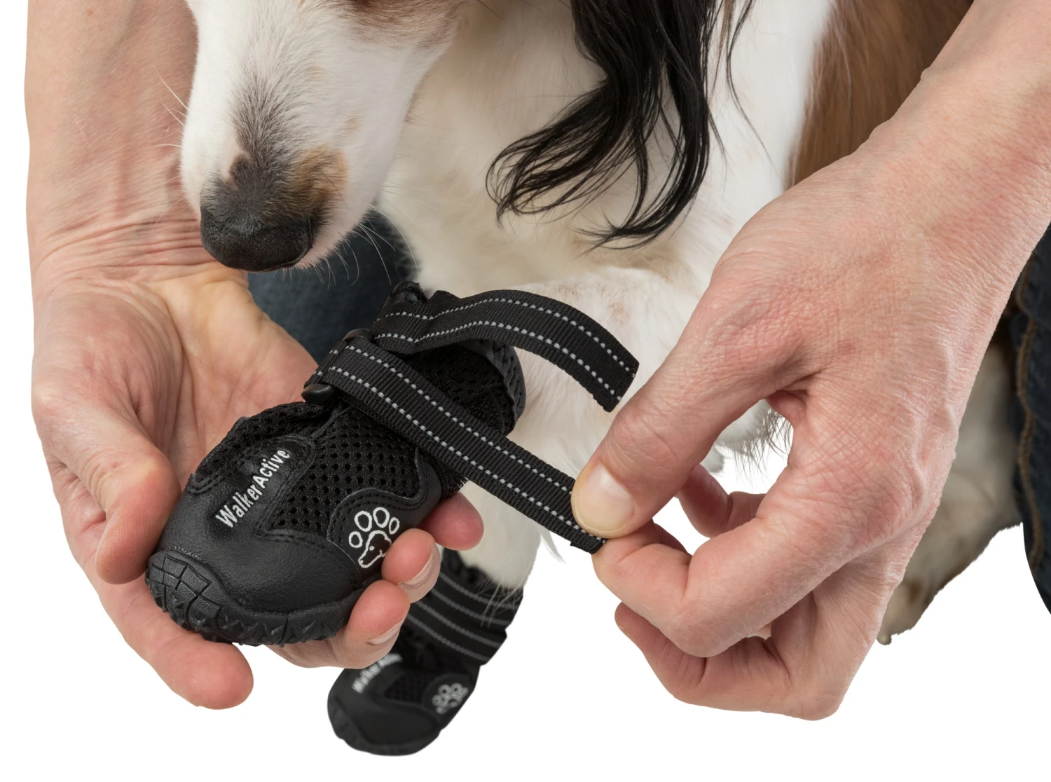 Trixie Pootbescherming Walker Active M 2st. 6 Trixie Pootbescherming Walker Active M 2st. - Afbeelding 6