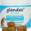 Glandex Soft Chew 240g - 60 Chews