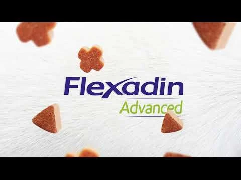 Flexadin Advanced Boswelia 30 Chews 2 Flexadin Advanced Boswelia 30 Chews - Afbeelding 2