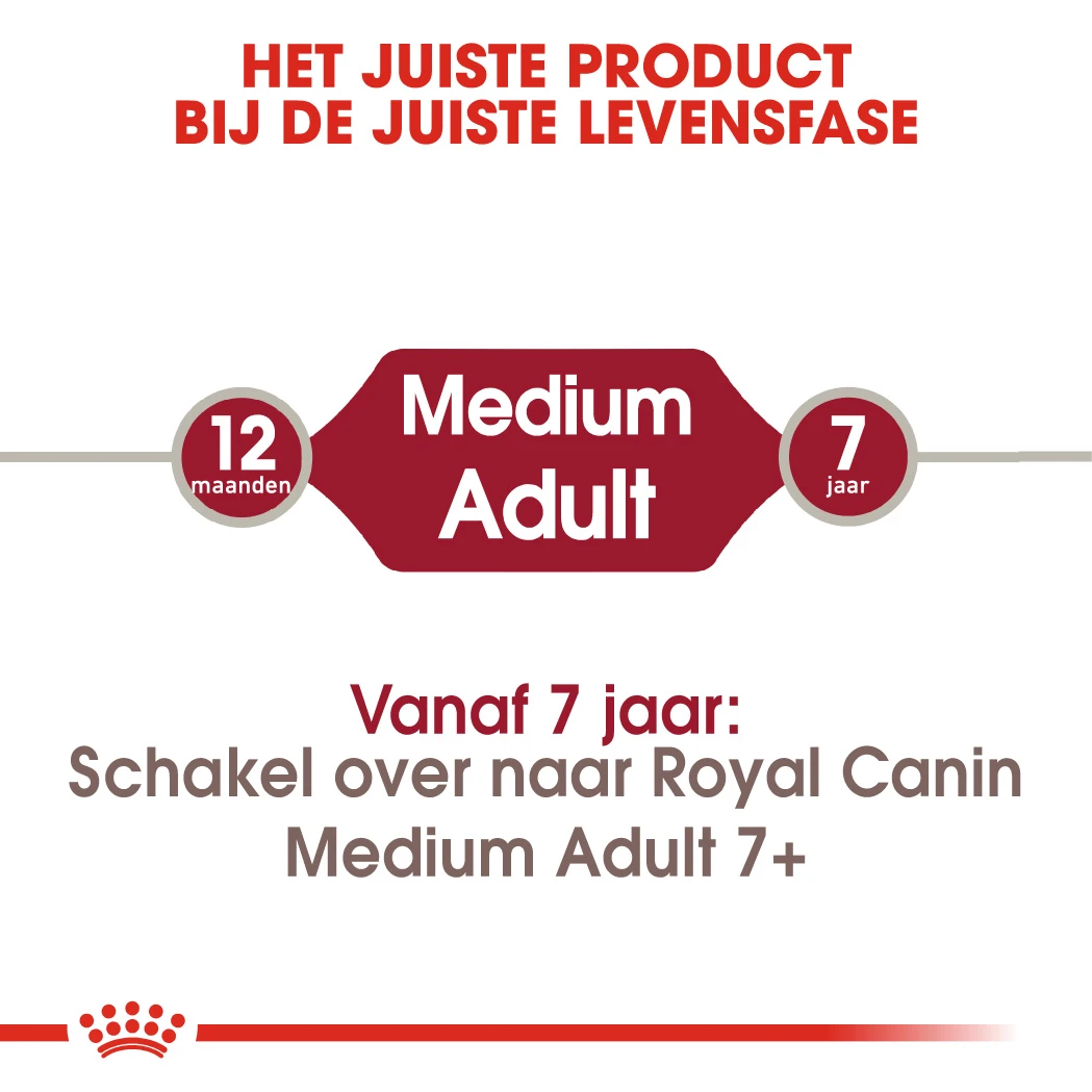 Royal Canin Medium Adult - Hondenvoer - 15kg 8 Royal Canin Medium Adult - Hondenvoer - 15kg - Afbeelding 8