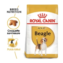 Royal Canin Beagle Adult - Hondenvoer - 12kg -Blaf Miauw Verkoopwinkel royal canin beagle adult beagle adulte 1