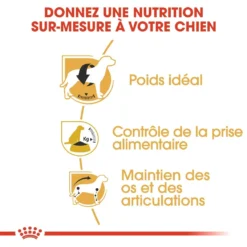 Royal Canin Beagle Adult - Hondenvoer - 12kg -Blaf Miauw Verkoopwinkel royal canin beagle adult beagle adulte 2