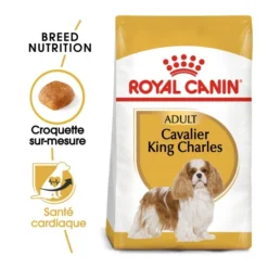 Royal Canin Cavalier King Charles Adult - Hondenvoer - 7,5 Kg -Blaf Miauw Verkoopwinkel royal canin cavalier king charles adult cavalier king charles 1