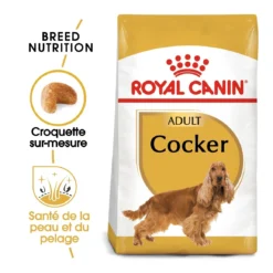 Royal Canin Cocker Adult - Hondenvoer - 12kg -Blaf Miauw Verkoopwinkel royal canin cocker adult cocker 1 1
