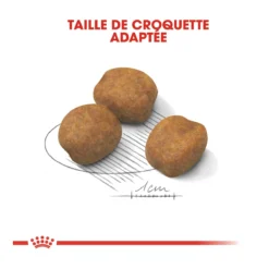 Royal Canin Giant Puppy - Hondenvoer - 15kg -Blaf Miauw Verkoopwinkel royal canin giant puppy giant puppy 3