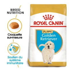 Royal Canin Golden Retriever Puppy - Hondenvoer - 12kg -Blaf Miauw Verkoopwinkel royal canin golden retriever puppy golden retriever junior 1