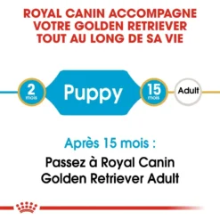 Royal Canin Golden Retriever Puppy - Hondenvoer - 12kg -Blaf Miauw Verkoopwinkel royal canin golden retriever puppy golden retriever junior 3