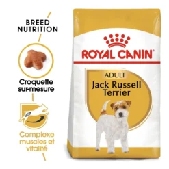 Royal Canin Jack Russell Adult - Hondenvoer - 7,5kg -Blaf Miauw Verkoopwinkel royal canin jack russell adult jack russell adulte 1