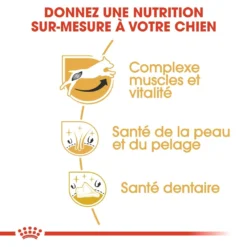 Royal Canin Jack Russell Adult - Hondenvoer - 7,5kg -Blaf Miauw Verkoopwinkel royal canin jack russell adult jack russell adulte 2