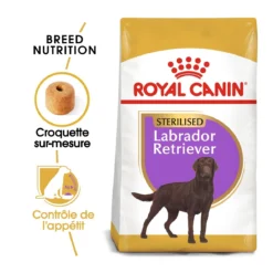 Royal Canin Labrador Retriever Sterilised Adult Hond 12kg -Blaf Miauw Verkoopwinkel royal canin labrador retriever sterilised adult croquettes pour chien labrador retriever sterilised adult 1