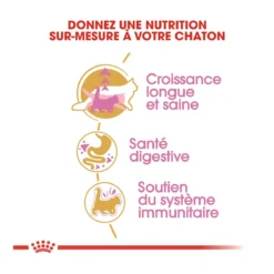 Royal Canin Maine Coon Kitten Kat 10kg -Blaf Miauw Verkoopwinkel royal canin maine coon kitten maine coon kitten 2