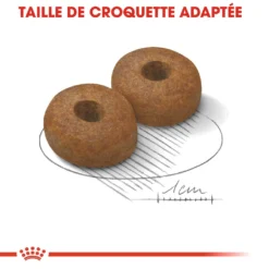 Royal Canin Maxi Ageing 8+ - Hondenvoer - 15kg 10 Royal Canin Maxi Ageing 8+ - Hondenvoer - 15kg -Blaf Miauw Verkoopwinkel royal canin maxi ageing croquettes pour chien maxi ageing 2