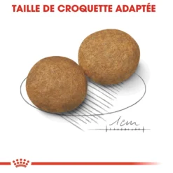 Royal Canin Medium Adult - Hondenvoer - 15kg 15 Royal Canin Medium Adult - Hondenvoer - 15kg -Blaf Miauw Verkoopwinkel royal canin medium adult croquettes pour chien medium adult 3