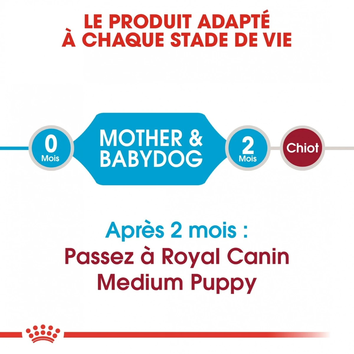 Royal Canin Medium Starter Mother & Babydog 15kg 6 Royal Canin Medium Starter Mother & Babydog 15kg - Afbeelding 6