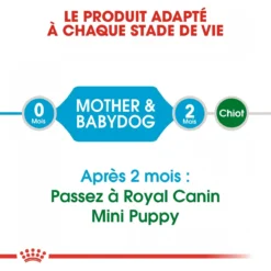 Royal Canin Mini Starter Mother & Babydog 8kg -Blaf Miauw Verkoopwinkel royal canin mini starter mini starter 4