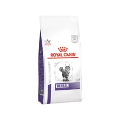 Royal Canin Dental - Kattenvoer - 3kg -Blaf Miauw Verkoopwinkel royal canin dental kat 177271 0500 none 1