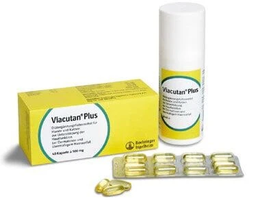 Viacutan Plus 40caps 550Mg 4 Viacutan Plus 40caps 550Mg - Afbeelding 4